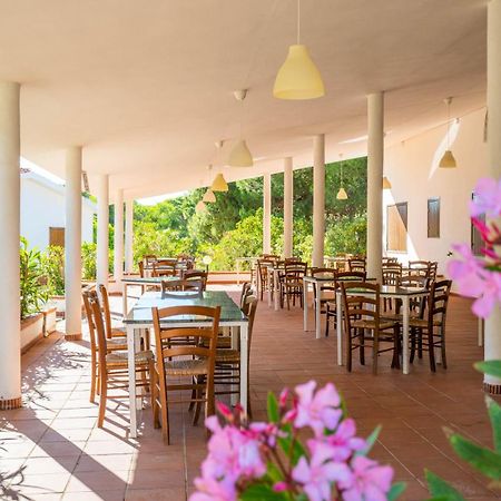 Happy Camp Mobile Homes In Camping Village Baia Paradiso Badesi Exterior foto