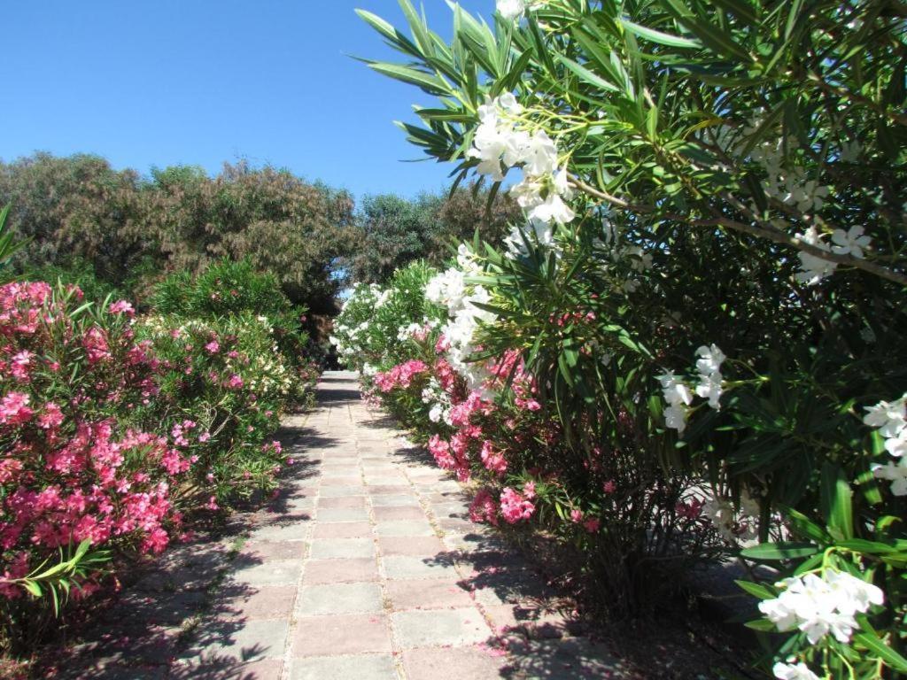 Happy Camp Mobile Homes In Camping Village Baia Paradiso Badesi Exterior foto