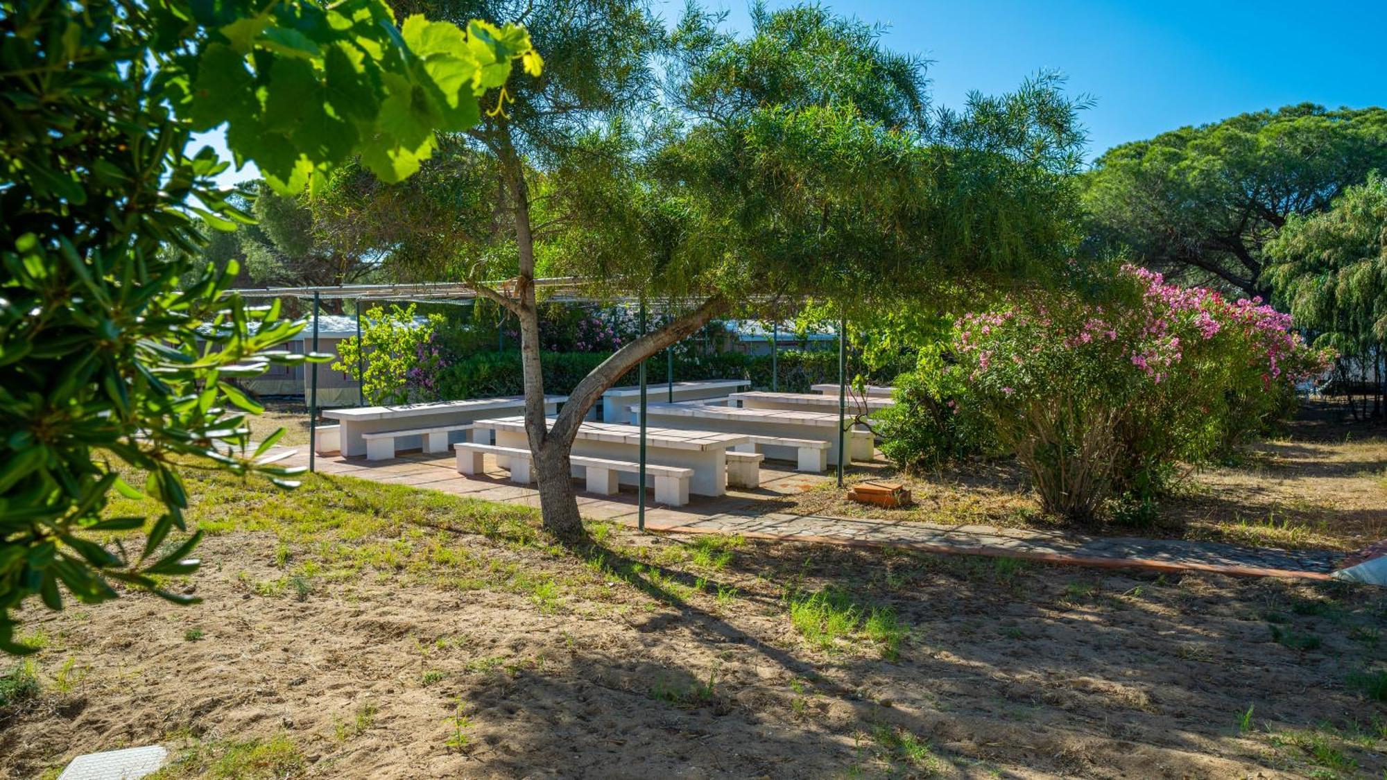 Happy Camp Mobile Homes In Camping Village Baia Paradiso Badesi Exterior foto